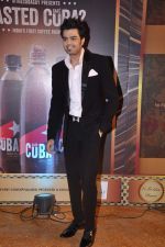 Manish Paul at Gold TV awards red carpet in Mumbai on 20th July 2013 (84).JPG